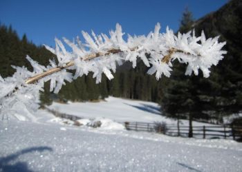 Einzigartige Eiskreatur 01.jpg